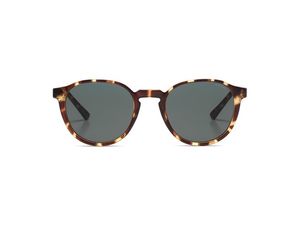 KOMONO Liam Tortoise