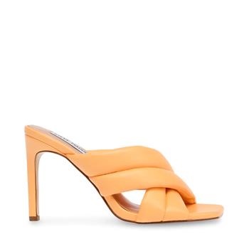 STEVE MADDEN Tenacity