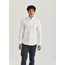 MORRIS Oxford Button Down Shirt