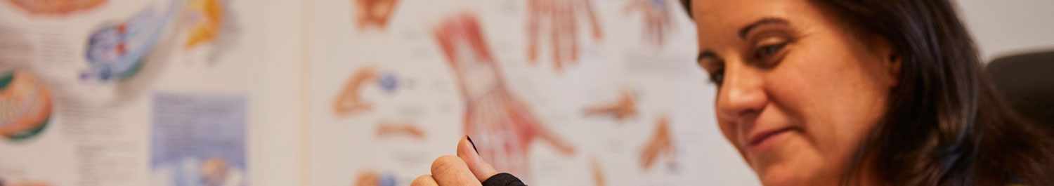 Anatomy