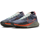 Nike Pegasus Trail 4 Gore-Tex Light Carbon / Cosmic Clay - Trail Running Schuhe, Herren