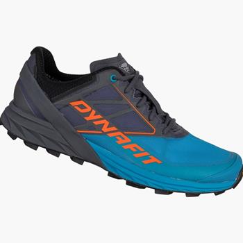 Dynafit Alpine Magnet/Frost - Trailrunning-Schuhe