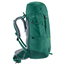 Deuter Fox 40 Alpinegreen/Forest - Outdoor Taschen