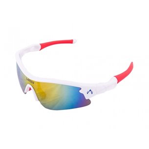 Larsen Biathlon Sportglasögon Med 5 Linser - Sonnenbrillen