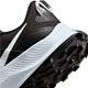 Nike Pegasus Trail 3 Black/Pure Plati - Trailrunning-Schuhe, Damen