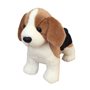 Hund, beagle