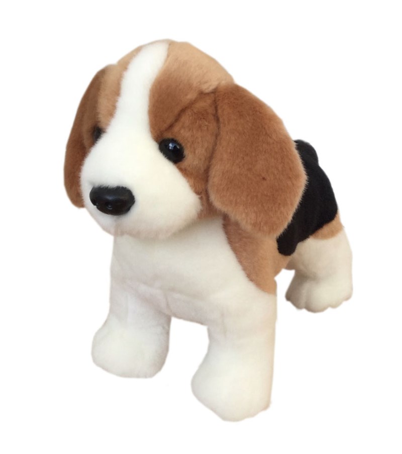 Hund, beagle