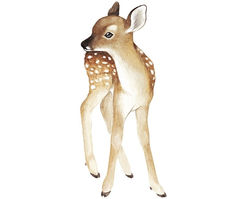 Wallsticker, rådjur