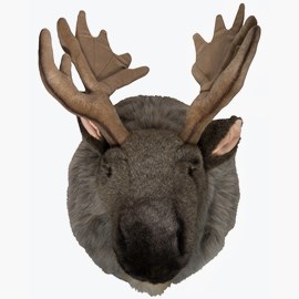 Djurhuvud, Älg