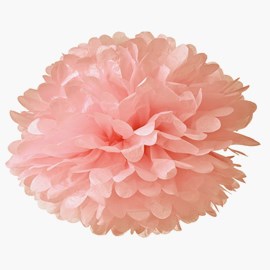 Pom Pom, Rosa
