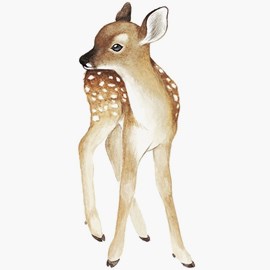 Wallsticker, rådjur