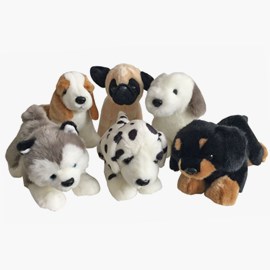 Hundvalpar