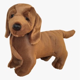 Hund, tax