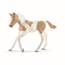 Schleich Paintföl