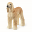 Schleich Afghanhund