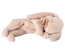 Maileg Sleeping bunny plush small, powder