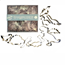 Dinosaur Cookie Cutters 10 st