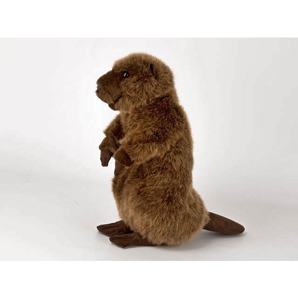 Kösen Bäver, 25 cm
