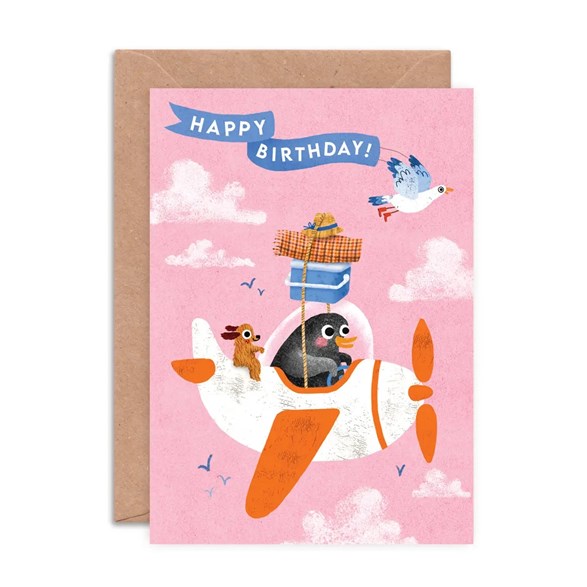 Emily Nash Illustration Gratulationskort, birthday aeroplane