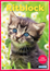 Ritblock katt/hund