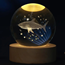itotal Crystal ball lamp small shark