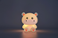 itotal Silicon night light, hippo