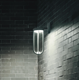 Flos In Vitro Wall