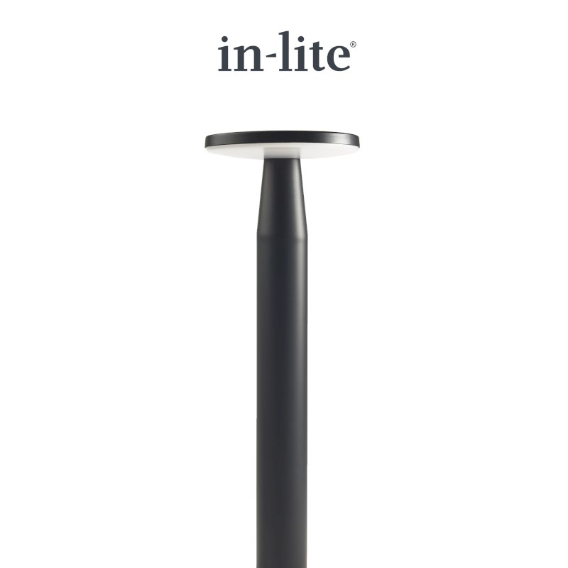 in-lite Disc
