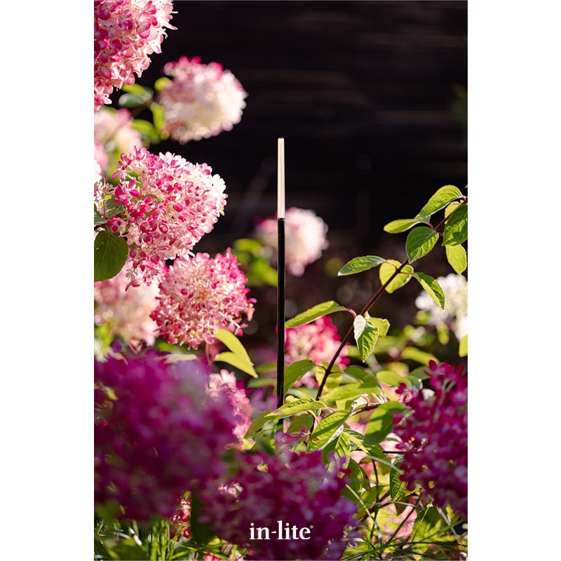 in-lite BREEZE