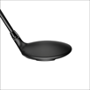 Cobra Ds-Adapt Max Fw (Standard)