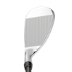 Callaway Opus Platinum (Custom)