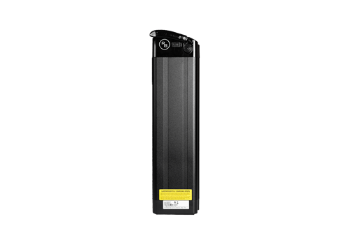 RAWBIKE Battery 48V/16Ah