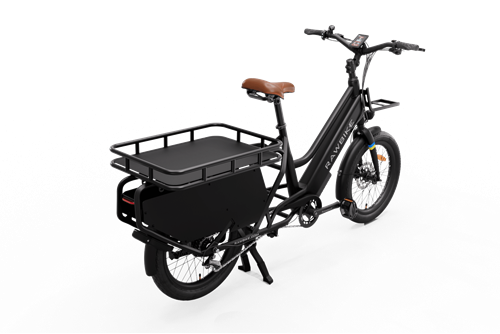 RAWBIKE Longtail Cargo
