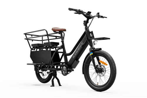 Long RAWBIKE Longtail family