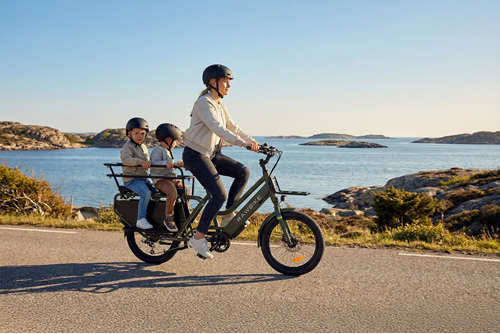Long RAWBIKE Longtail family