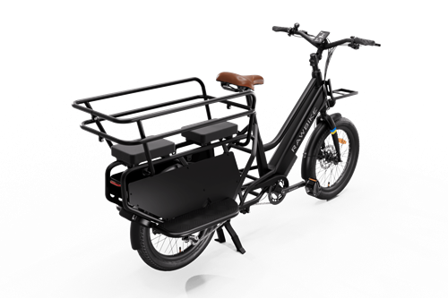 Long RAWBIKE Longtail family