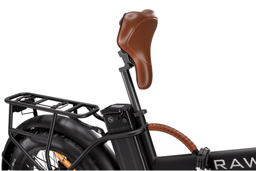 Rawbike Classic 750W