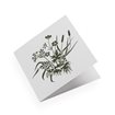 Cotton paper card, Tuvor, Pine Green