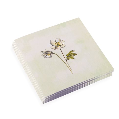 Cotton Paper Card, Windflower
