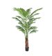 Konstväxt Areca Palm