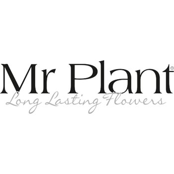 Mr Plant - Offertförfrågan