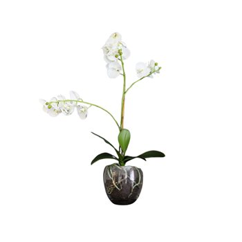 Kunstig plante Orchid Phalaenopsis White inkl. Blomsterpotte