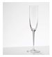 Sommeliers, Champagne Flute, 17 cl