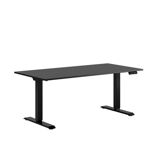 Höj och sänkbart skrivbord, 2-motor