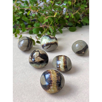 Septarian Draksten Cuddle