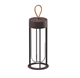 Flos IN VITRO UNPLUGGED