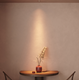 Modular Thimble Recessed Trimless Adjustable 70 1x