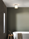 Astro Aquina Ceiling 240
