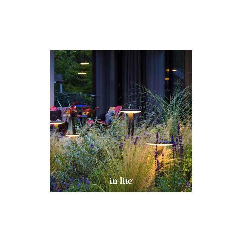 in-lite Disc