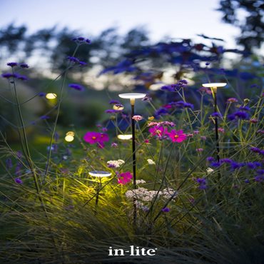 in-lite Sway